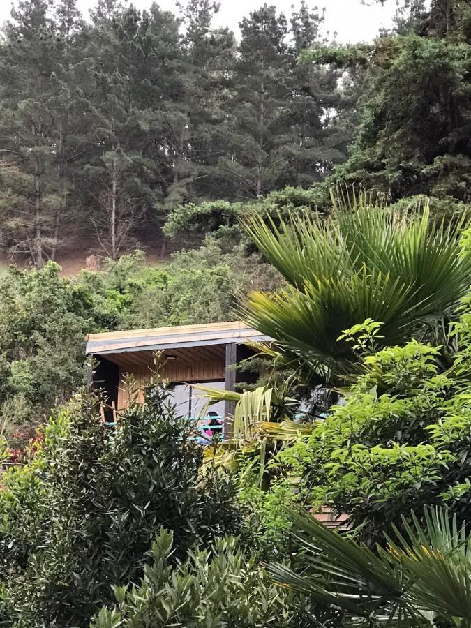 Lodge Los Bosques Matanzas  Εξωτερικό φωτογραφία